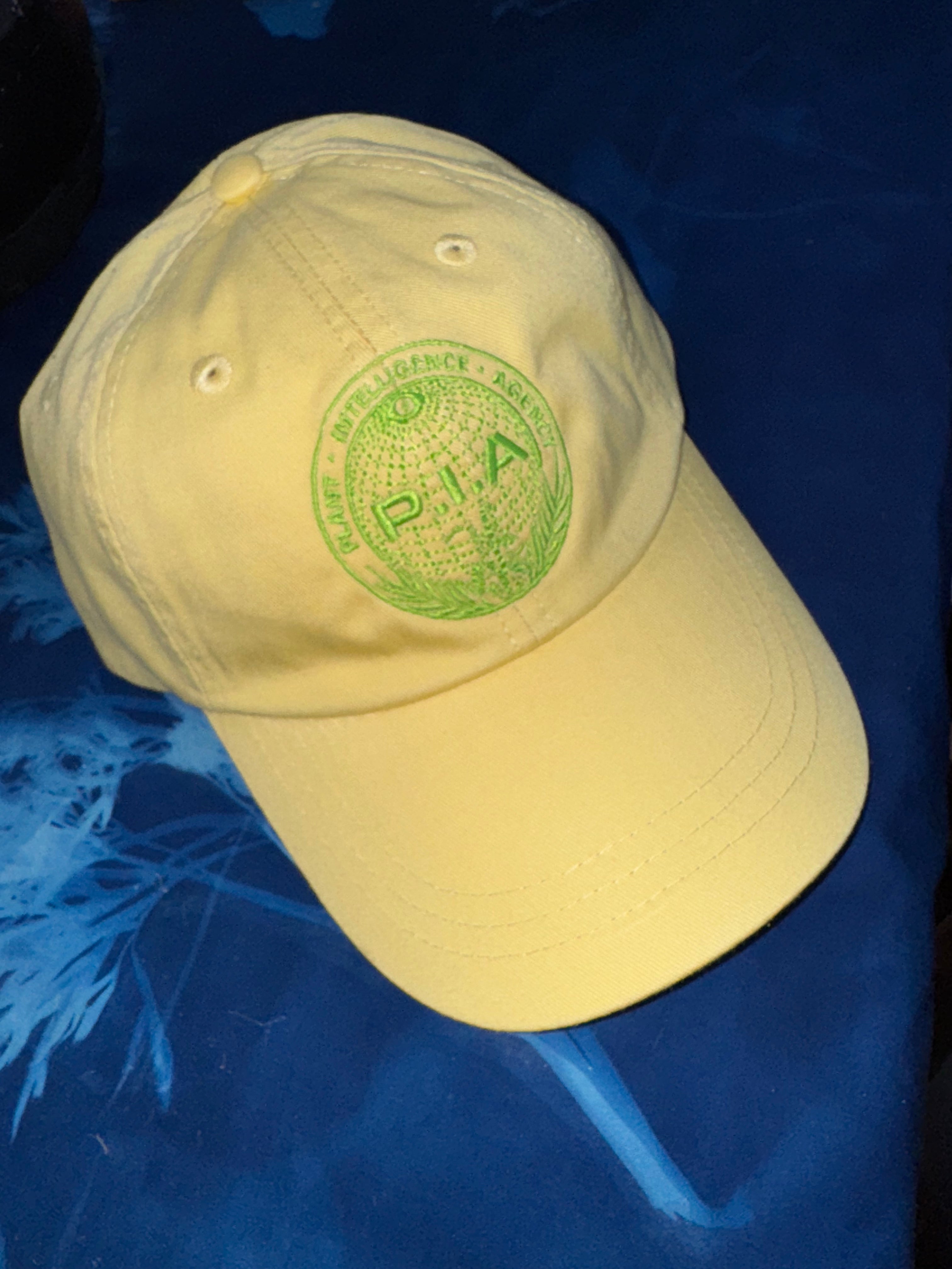 The PIA hat